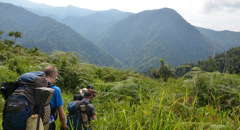 A group of people wearing backpacks move away from the camera toward a vast, green mountainous landscape.